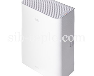 asp100w2.jpg